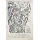 LANDMANN, Geroge. - HISTORICAL, MILITARY, AND PICTURESQUE OBSERVATIONS ON PORTUGAL, Illustrated by seventy-five coloured plates, including authentic plans of the sieges and battles fought in the Peninsula during the late war. In Two Volumes.  Vol. I (e Vol. II).
