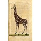 BUFFON, Georges Louis Marie Leclerc, Comte de. -  OEUVRES COMPLÈTES, mises en ordre par M. le Comte de Lacepède. Seconde édition. Vol. I (ao XXV).