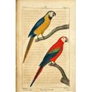 BUFFON, Georges Louis Marie Leclerc, Comte de. -  OEUVRES COMPLÈTES, mises en ordre par M. le Comte de Lacepède. Seconde édition. Vol. I (ao XXV).
