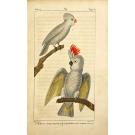 BUFFON, Georges Louis Marie Leclerc, Comte de. -  OEUVRES COMPLÈTES, mises en ordre par M. le Comte de Lacepède. Seconde édition. Vol. I (ao XXV).
