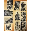 FOTOGRAFIA. ÁFRICA. 2 Álbuns com 373 fotografias.