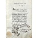 MANUSCRITO / ACÇÕES. - COMPANHIA GERAL DE PERNAMBUCO E PARAÍBA.