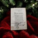 MANUSCRITO / ACÇÕES. - COMPANHIA GERAL DE PERNAMBUCO E PARAÍBA.