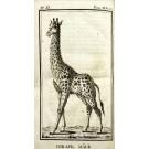 VAILLANT, François Le. - VOYAGE DE MONSIEUR LE VAILLANT DANS L'INTÉRIEUR DE L'AFRIQUE, par Le Cap de Bonne-Espérance dans les Annés 1780, 81, 82, 83, 84 & 85. Tome I (e II). SECOND VOYAGE DANS L’INTÉRIEUR DE L’AFRIQUE par le Cap de Bonne-Espérance, dans les Années 1783, 84 et 85. Tomes I (ao III).