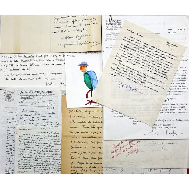 ESCRITORES.
