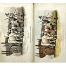 BAILLIE, Marianne. - LISBON IN THE YEARS 1821, 1822, AND 1823. In Two Volumes. 