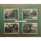 ÁLBUM DA SOCIEDADE DE AGRICULTURA COLONIAL EM S. TOMÉ E PRINCIPE.