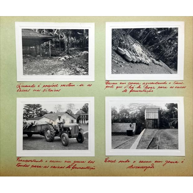 ÁLBUM. S. TOMÉ. Roça Santa Margarida. 1958. 