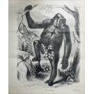 CHAILLU, Paul B. du. - EXPLORATIONS AND ADVENTURES IN EQUATORIAL AFRICA. With Accounts of the Manners and Customs of the People, and of the Chace of the Gorilla, Crocodile, Leopard, Elephant, Hippopotamus, and Other Animals. 