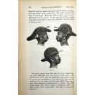 CHAILLU, Paul B. du. - EXPLORATIONS AND ADVENTURES IN EQUATORIAL AFRICA. With Accounts of the Manners and Customs of the People, and of the Chace of the Gorilla, Crocodile, Leopard, Elephant, Hippopotamus, and Other Animals. 