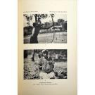 HAMBLY, Wilfrid D. - THE OVIMBUNDU OF ANGOLA. 