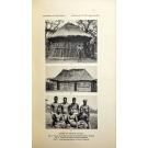 HAMBLY, Wilfrid D. - THE OVIMBUNDU OF ANGOLA. 