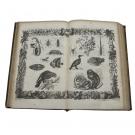 DUVAL, M. Houblout et. - MUSÉO PITTORESCO OU HISTORIA NATURAL dos Tres Reinos da Natureza, para uso da mocidade, e das pessoas que quizeram adquirir ideas geraes das obras da Creação. Obra Ornada com 50 Estampas representando 800 objectos.