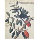 FERRÃO, José E. Mendes. - A AVENTURA DAS PLANTAS E OS DESCOBRIMENTOS PORTUGUESES. 