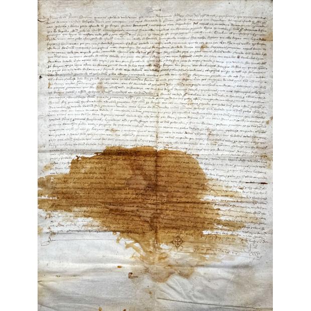 Carta de venda de uma herdade em Cabeça da Vide. 