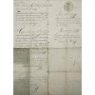 GOA.  Nomeação em nome de D. Maria I, de Francisco de Noronha Mota para Provedor Mor de Goa.