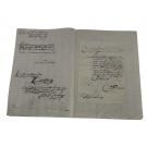 MANUSCRITO. - D. JOÃO V. Alvará régio de nomeação.