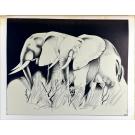 SILVA, João Augusto. - ANIMAIS SELVAGENS. Contribuição para o estudo da fauna de Moçambique. (Desenhos e fotografias do autor).
