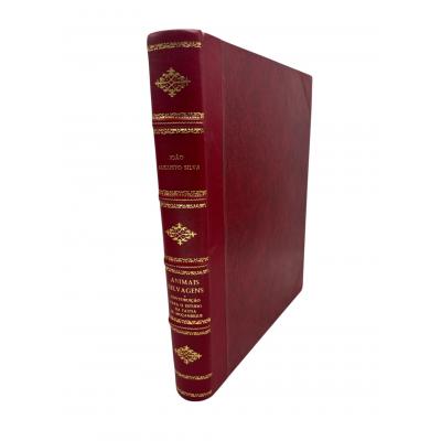 vreq7735.JPG