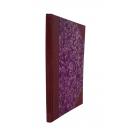 GAFANHA (A). Director: Campos Lima. Nº1 (ao Nº8). 