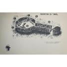 GALVÃO, Henrique. - ANTROPOFAGOS. Ilustrações de José de Moura.