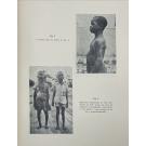 LIMA, Mesquita. - TATUAGENS DA LUNDA.