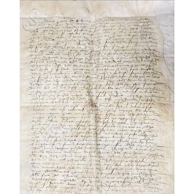 MANUSCRITO. D. MANUEL I. Sentença de 1505