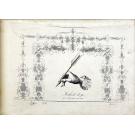 ARAUJO, Antonio Jacintho. - NOVA ARTE DE ESCREVER Offerecida ao Principe Nosso Senhor, para instrucçao da mocidade.