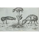 BARBOSA DU BOCAGE. - 3 Traduções publicadas pelo Arco do Cego.