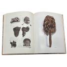 Diamang - REDINHA, José. - CAMPANHA ETNOGRÁFICA AO TCHIBOCO. (ALTO-TCHICAPA). NOTAS DE VIAGEM.