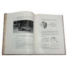 Diamang. - REDINHA, José. - AS GRAVURAS RUPESTRES DO ALTO ZAMBEZE E A PRIMEIRA TENTATIVA DE INTERPRETAÇÃO.