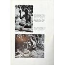 Diamang. - BEBIANO, J. Bacellar. - NOTAS SOBRE A SIDERUGIA DOS INDÍGENAS DE ANGOLA E DE OUTRAS REGIÕES AFRICANAS.