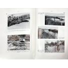 Diamang. - POLL, Max. - CONTRIBUTION À LA FAUNE ICHTHYOLOGIQUE DE L'ANGOLA.