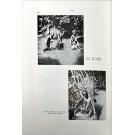 Diamang. - POLL, Max. - CONTRIBUTION À LA FAUNE ICHTHYOLOGIQUE DE L'ANGOLA.