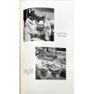 JANEIRO, Armando Martins. - O JARDIM DO ENCANTO PERDIDO. Aventura maravilhosa de Wenceslau de Moraes no Japão.