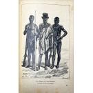 MARTINS, João Augusto. - MADEIRA, CABO-VERDE E GUINÉ. Obra ilustrada com 15 gravuras. 