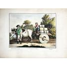 MURPHY, James. - A GENERAL VIEW OF THE STATE OF PORTUGAL; containing a Topographical description thereof. In which are included, an account of the physical and moral state of the kingdom, together with observations on the animal, vegetable, and mineral productions of its colonies. 