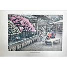 OGAWA, Kazumasa. - THINGS SEEN IN JAPAN. 