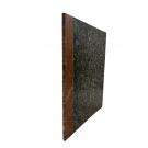 SILVA, Rebello da. - ULTIMA CORRIDA DE TOROS EM SALVATERRA.