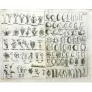 VANDELLI, Domingos. - DICCIONARIO DOS TERMOS TECHNICOS DE HISTORIA NATURAL. extrahidos das obras de linneo, com a sua explicação, e estampas abertas em cobre, para facilitar a intelligencia dos mesmos. e a memoria sobre a utilidade dos jardins botânicos.  Junto com: FLORAE LUSITANICAE ET BRASILIENSIS SPECIMEN (plantae exoticae b. brasilienses)