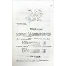 REVISTA - VOZ (A) DE ANGOLA. Crónica Semanal. Nº 29 (ao 84). 