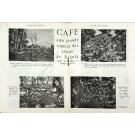 REVISTA - VOZ (A) DE ANGOLA. Crónica Semanal. Nº 29 (ao 84). 