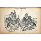 REVISTA - AMOR E LIBERDADE.  Revista quinzenal de ciência, sociologia, literatura e arte. Dirigida por M. Gollen 1ª série: Nº1 - 1 de fevereiro de 1904 (ao Nº 8 de 15 de agosto de 1904). 2ª série: Nº1 de 1 de maio de 1905.