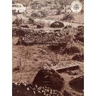 Diamang - CLARK, J. Desmond. -  