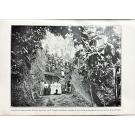 MANTERO, Francisco. - A MÃO D'OBRA EM S. THOMÉ E PRINCIPE.