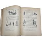 PORTUGALIA. MATERIAIS PARA O ESTUDO DO POVO PORTUGUEZ. Pola Grey. Tomo I (e II).