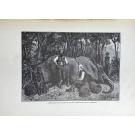 CAPELLO E R. IVENS, H. - DE ANGOLA Á CONTRA-COSTA. Descrição de uma viagem através do Continente Africano. Volume I (e Volume II).