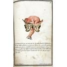 COUDRAY, Madame Le Boursier du. - ABBRÉGÉ DE L'ART DES ACCOUCHEMENTS, DANS LAQUEL ON DONNE LES PRÉCEPTES NÉCESSAIRES POUR LE METTRE HEUREUSEMENT EN PRATIQUE. 