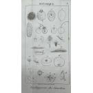 DUMERIL, André Marie Constant. - ELEMENS DES SCIENCES NATURELLES. Tome 1 - Minéralogie et botanique. Tome 2 - Zoologie. 