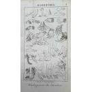 DUMERIL, André Marie Constant. - ELEMENS DES SCIENCES NATURELLES. Tome 1 - Minéralogie et botanique. Tome 2 - Zoologie. 